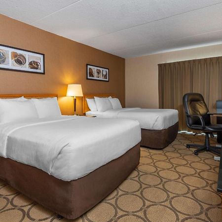 Comfort Inn Campbellton Exteriör bild
